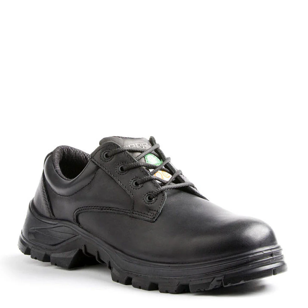 Chaussure de travail Albany Terra pour hommes, à embout composite - Image 2